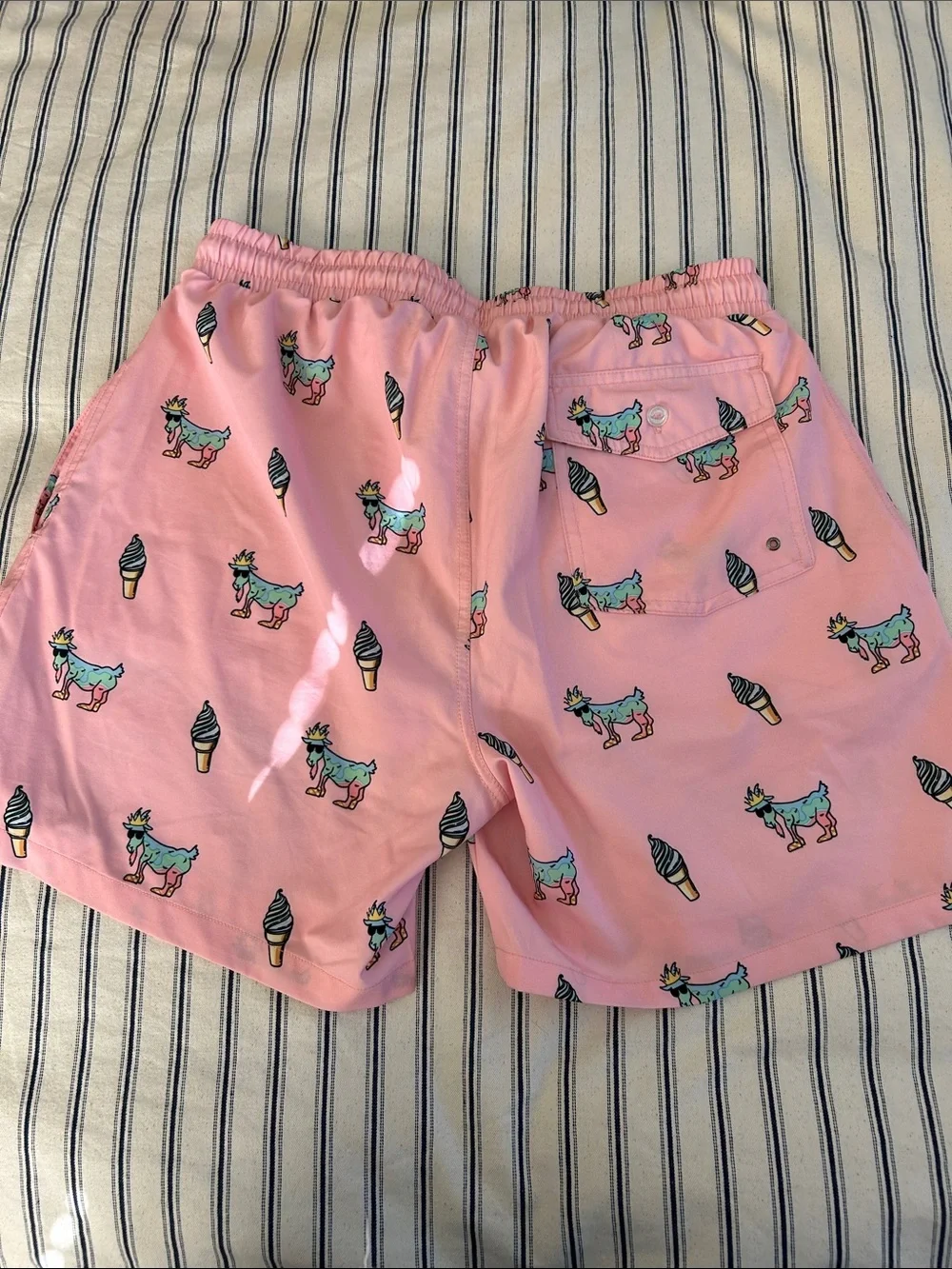 EUC S Men’s Goat USA Swim Shorts